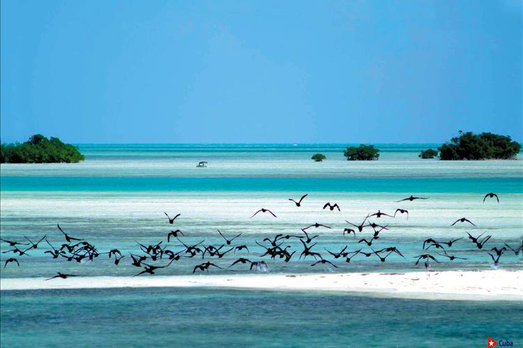 Кайо Ларго-дель-Сур - идеальное место для Вашего отдыха