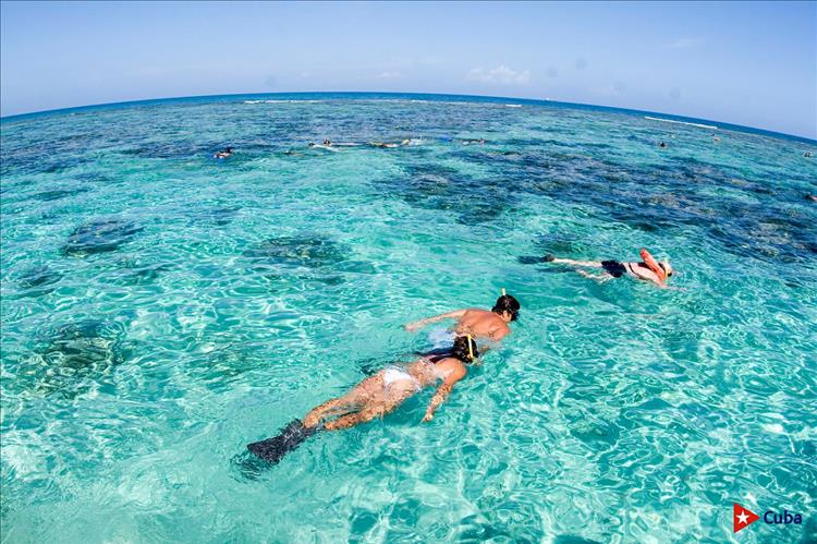 Beautiful white sand and clear-water beaches you can find in #Cuba.