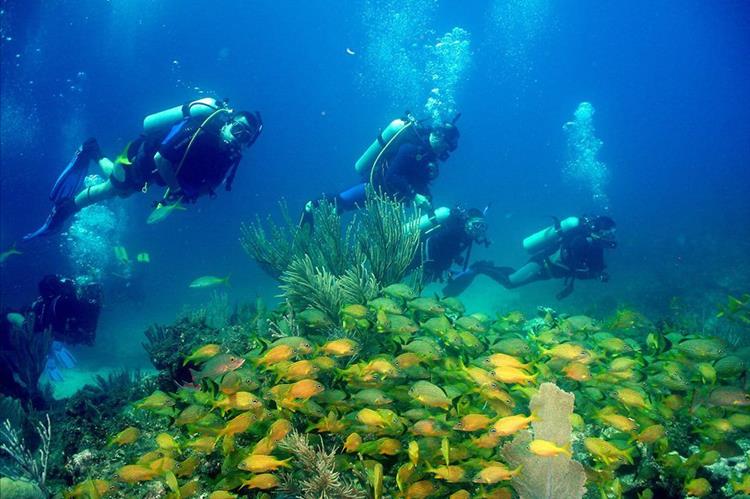 Reisende schätzen das Tauchen in Kuba