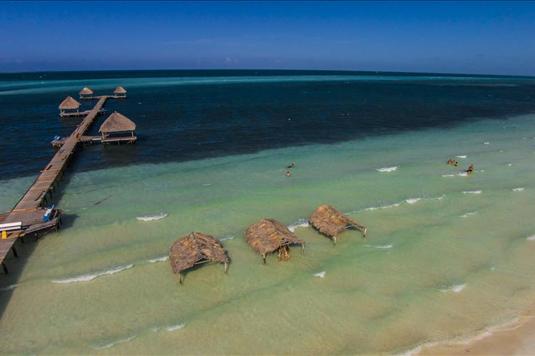 «Хардинес-дель-Рей» или Королевские Сады