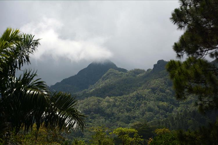 Topes de Collantes: un paraíso en las alturas