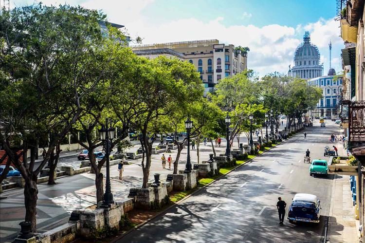 Encantos que no te querrás perder por el Paseo del Prado