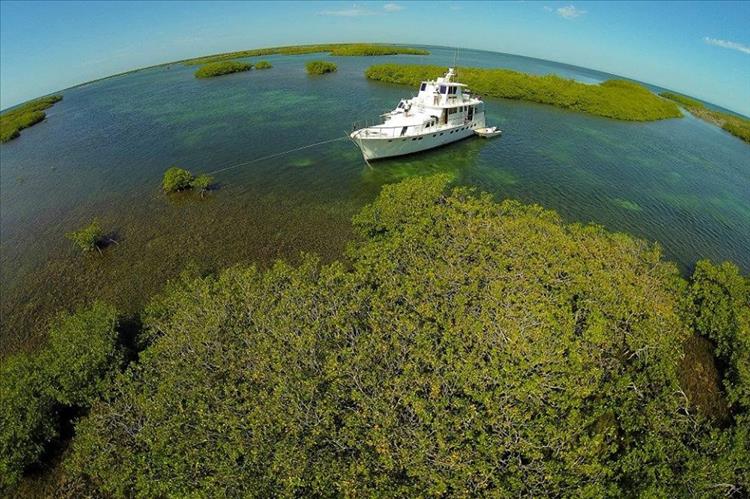 Come and enjoy  the experience of fishing in Cuba!