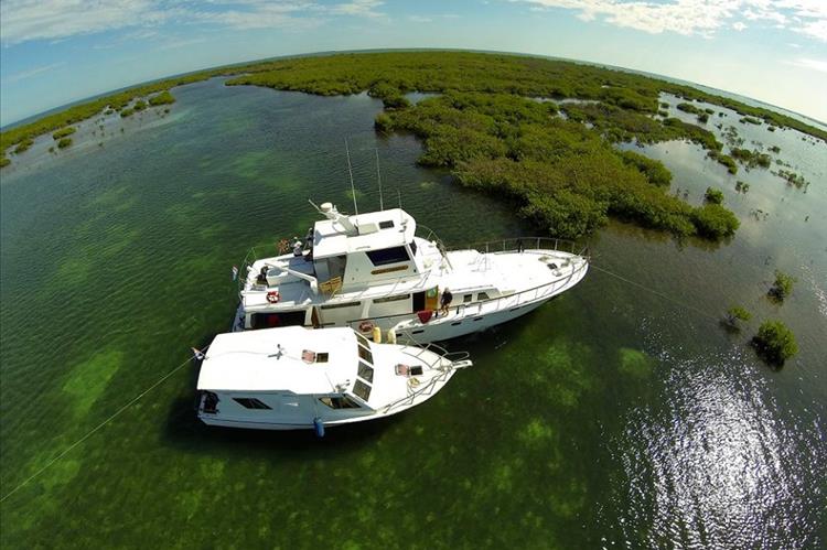Хардинес де ла Рейна – Рай для аквалангистов