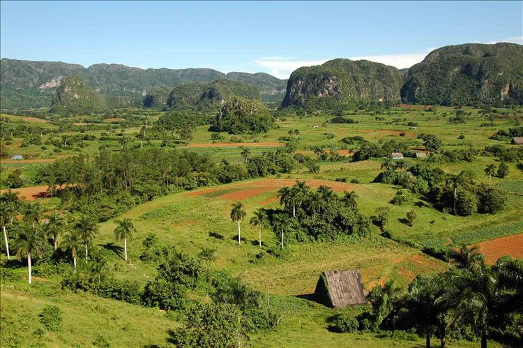 Escalada deportiva, nuevo producto turístico de Pinar del Río