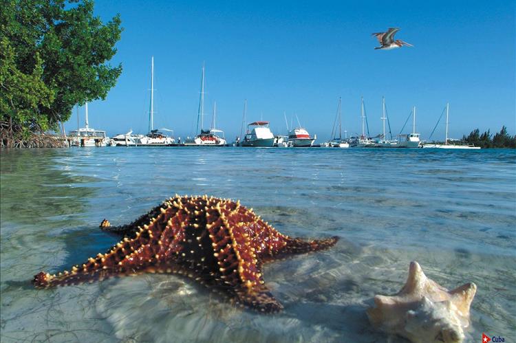 Отель Sol Cayo Largo ждет Вас