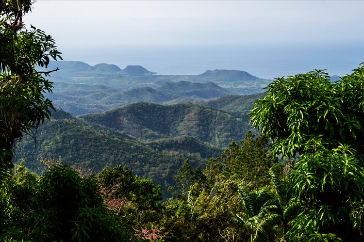 Экскурсия на Гран Пьедра