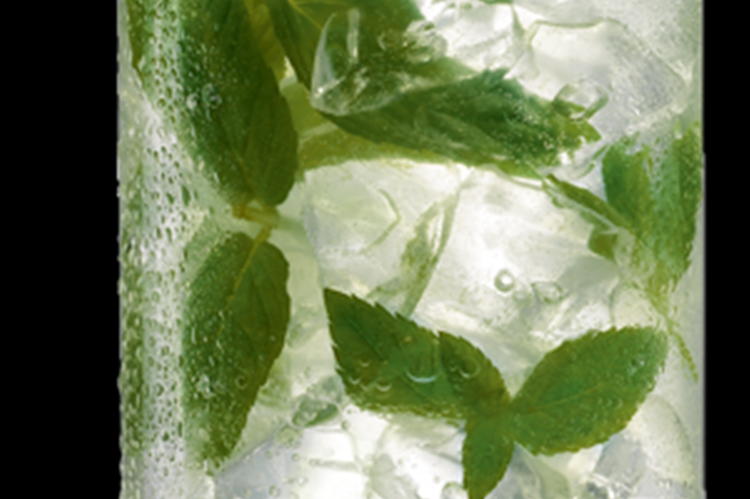 Мохито занимает пятое место среди лучших коктейлей в мире