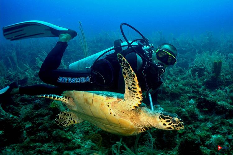 #Cuba - Рай  для любителей водного спорта