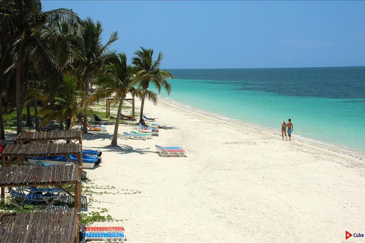 🏝🌴 🌴 Для  любителей отдыха под солнцем ⛱🌞😎