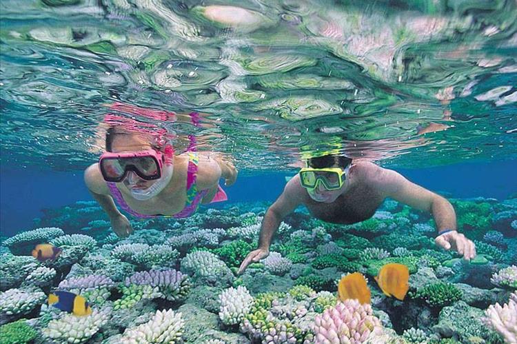 Diving in Cuba - An unforgettable experience.