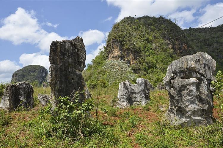 Das kubanische Stonehenge, das Sie in Viñales erwartet.