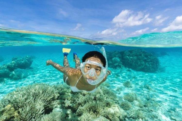 Дайвинг  на Кубе с опытными  русскими инструкторами.