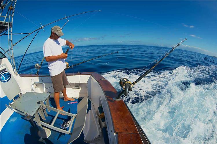 Das Angelturnier „Jardines del Rey“ (Big Game Trolling) findet jetzt in October in Cayo Guillermo statt