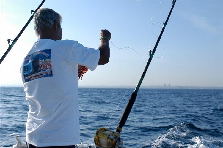 Jardines de la Reina: ein Paradies für Liebhaber des Tauchens und Sportfischens