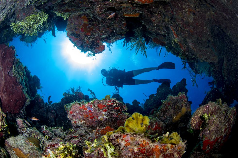 Buceo en Cuba Buceo en Cuba