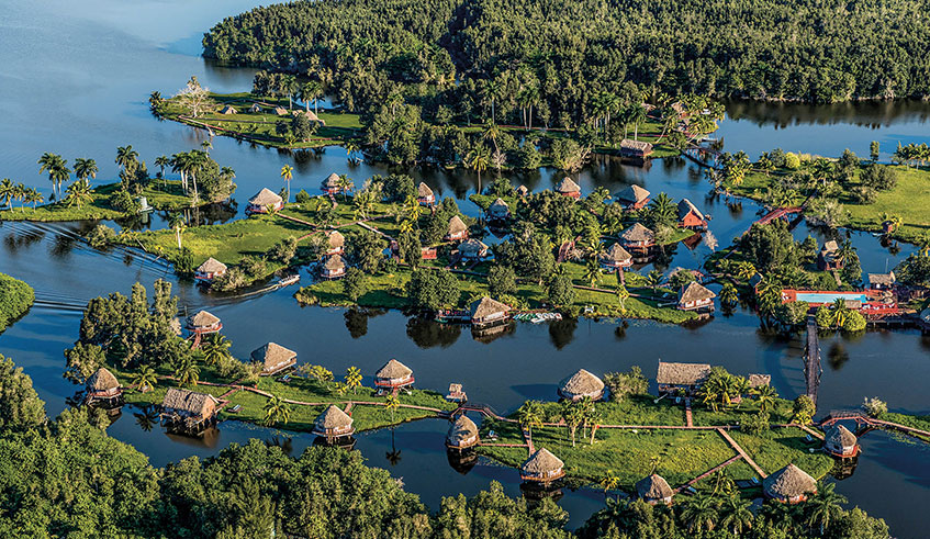 TURNAT 2019, Zapata Marsh, Maranzas, Cuba TURNAT 2019, Zapata Marsh, Maranzas, Cuba