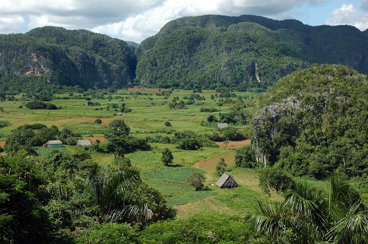 Vallée de Viñales, Pinar del Río, Cuba Vallée de Viñales, Pinar del Río, Cuba
