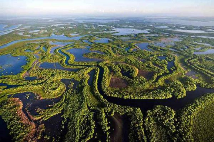 Cienaga de Zapata Cienaga de Zapata