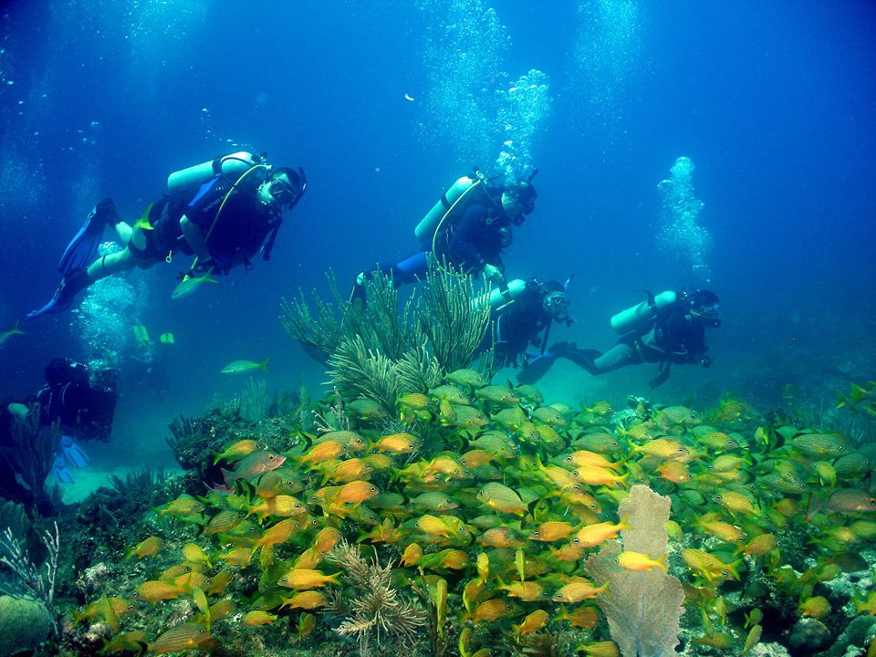 Cayo largo del Sur International Diving Center, Cuba. Cayo largo del Sur International Diving Center, Cuba.