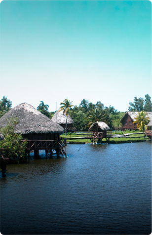 Ciénaga de Zapata