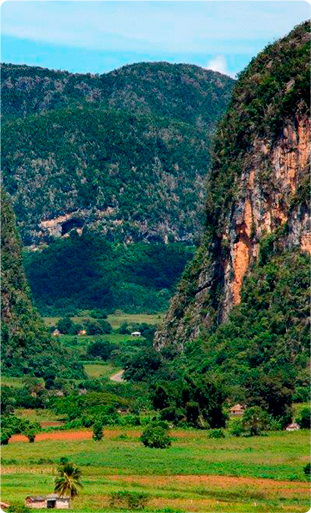 NATURALEZA