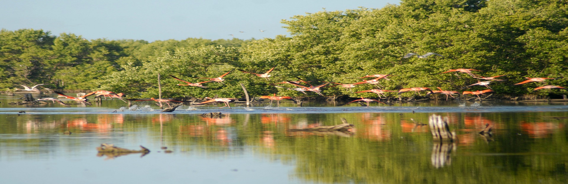 Parc national de Caguanes, Yaguajay, Sancti Spiritus