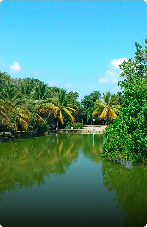 Parque Josone
