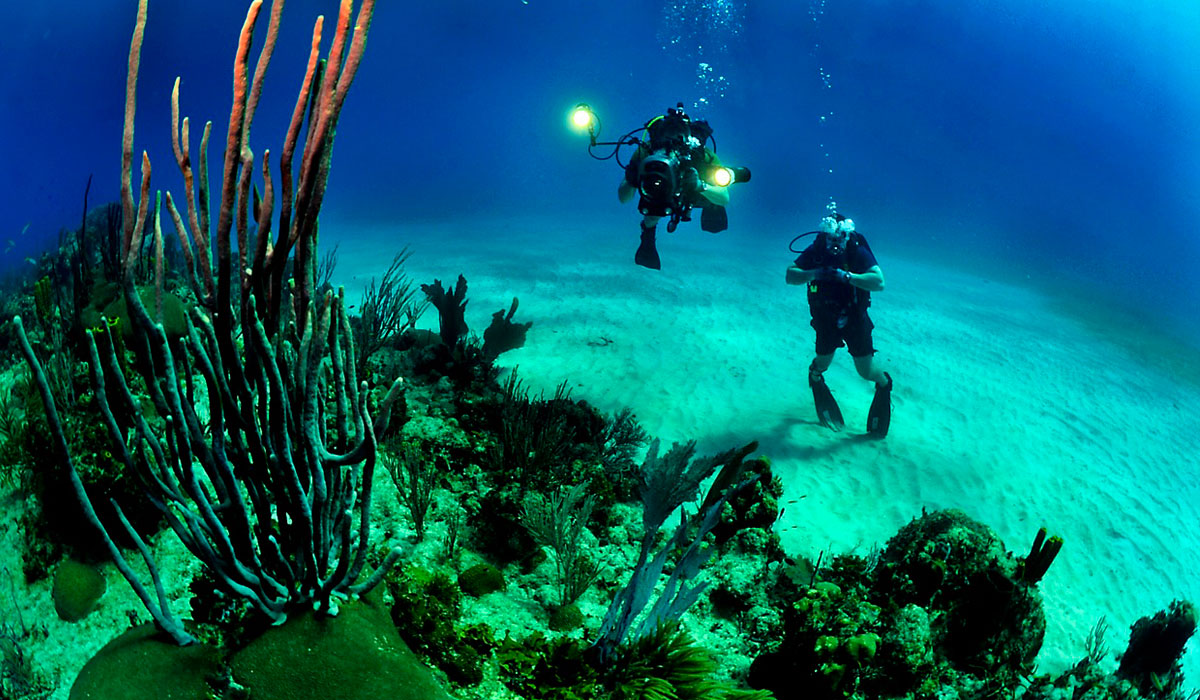 Diving in the coasts of Cuba a not-to-be-forgotten adventure. Diving in the coasts of Cuba a not-to-be-forgotten adventure.