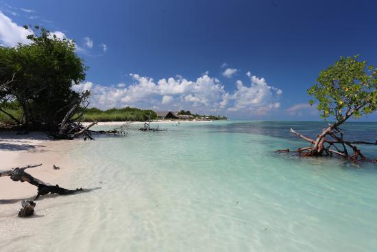 Cayo Jutías, Pinar del Río. A virgin beach. Cayo Jutías, Pinar del Río. A virgin beach.
