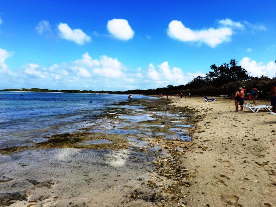 Playas de los Jardines del Rey, Ciego de Ávila Playas de los Jardines del Rey, Ciego de Ávila