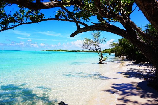 Playas de los Jardines del Rey, Ciego de Ávila Playas de los Jardines del Rey, Ciego de Ávila