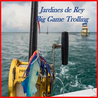 Jardines del Rey Big Game Trolling, from October 25 to 30 