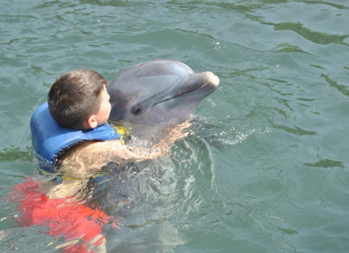 niño en baño con delfin.Delfinario Cienfuegos.Cubatravel niño en baño con delfin.Delfinario Cienfuegos.Cubatravel