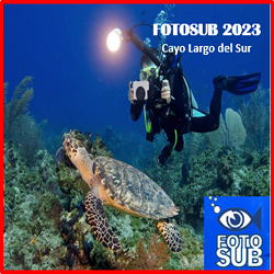 FOTOSUB 2023