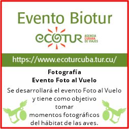 Evento Foto al Vuelo