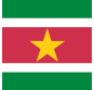 bandera de la República de Suriname Flagge der Republik von Surinam