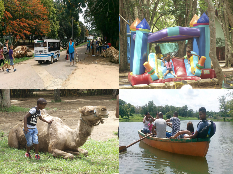 Visita a Zoológico Nacional desde Cienfuegos. Cuba Travel Visita a Zoológico Nacional desde Cienfuegos. Cuba Travel