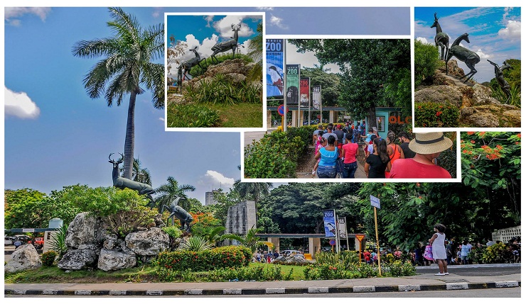 Excursión al Zoológico Nacional desde Cienfuegos.Cuba Excursión al Zoológico Nacional desde Cienfuegos.Cuba